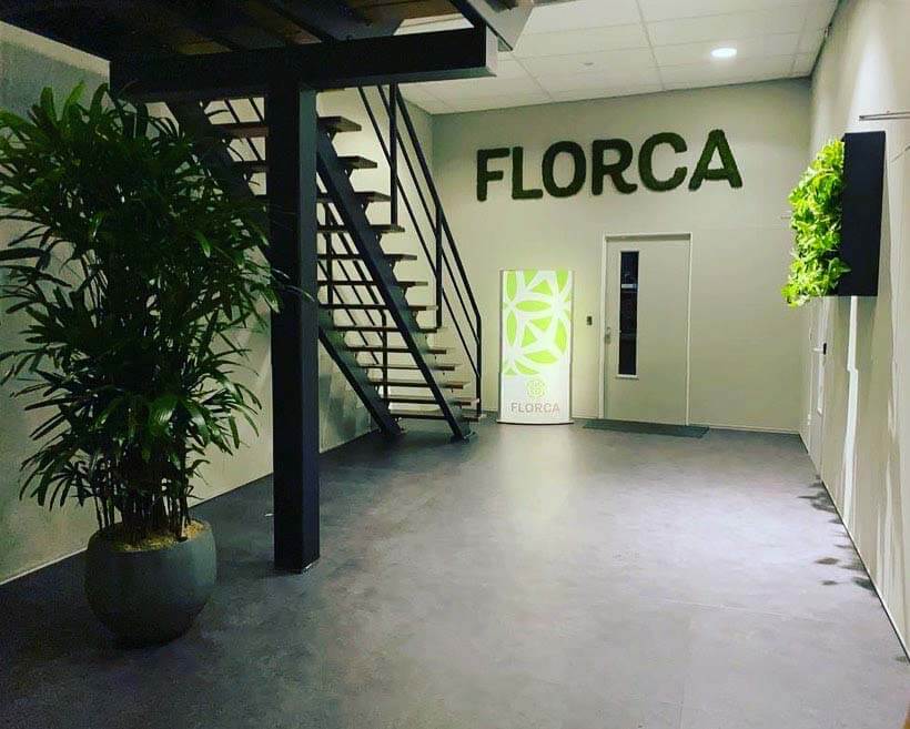 Florca