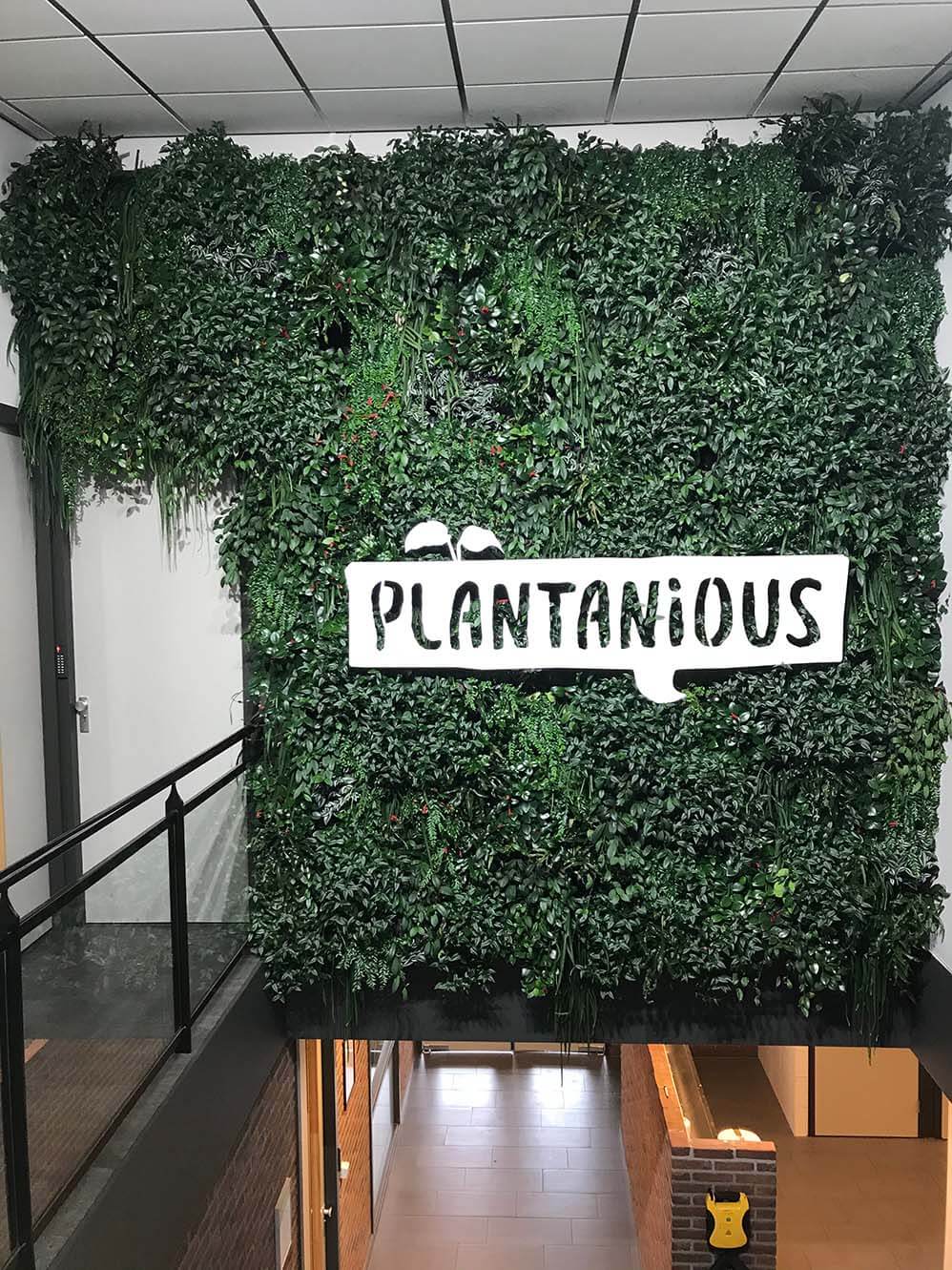Plantanious